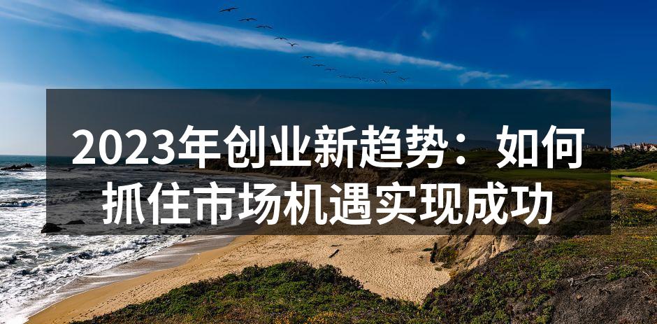 2023年创业新趋势：如何抓住市场机遇实现成功